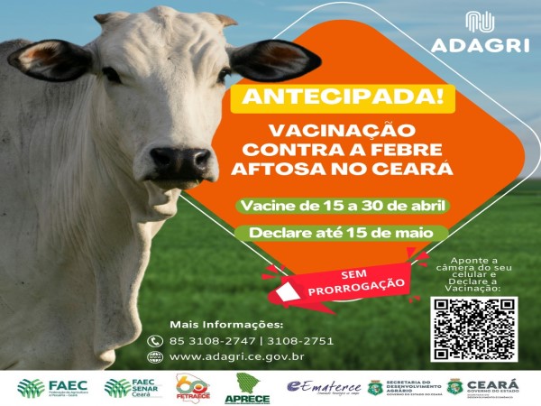 Ceará iniciou nesta segunda-feira (15) vacinação contra a Febre Aftosa de forma emergencial