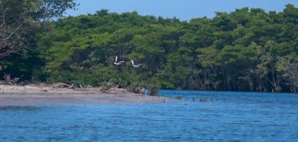 PRAIA DE REQUENGUELA