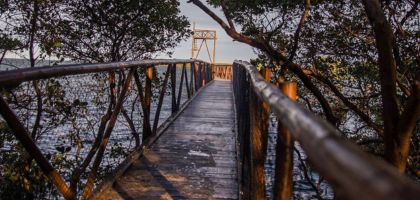 PASSARELA DO MANGUE (TEMPORARIAMENTE FECHADA)