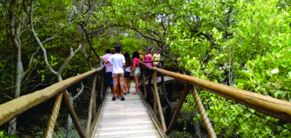 TRILHA DO MANGUEZAL DA APA DA BARRA GRANDE